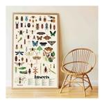 Immagine prodotto Poppik Poster didattico con adesivi Insetti