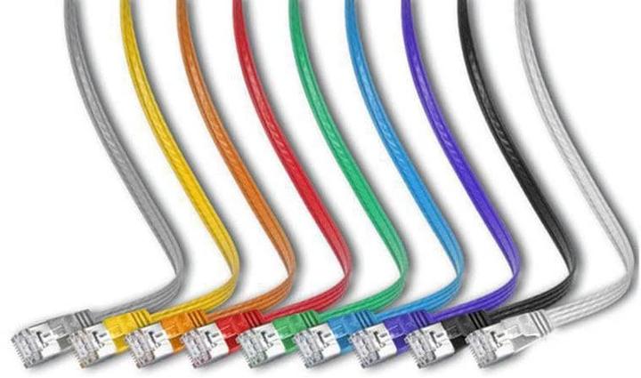 Actual product image Wirewin Network cable (STP, CAT6, 0.50 m)