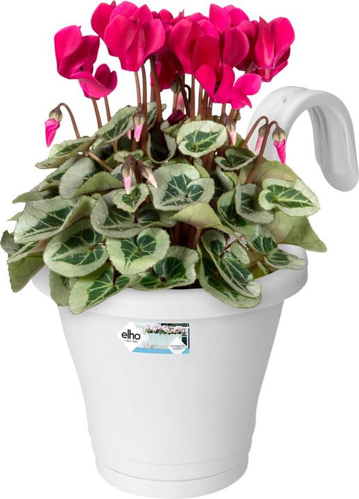 Produktbild Elho Corsica (27.10 cm)