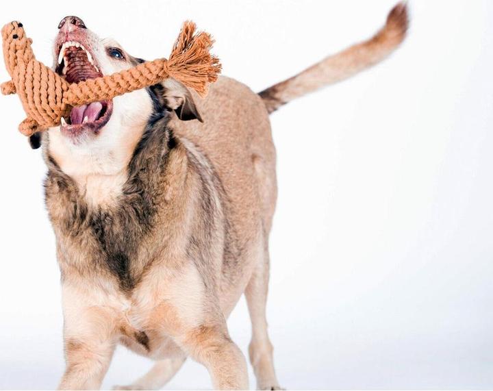 Produktbild Laboni Eddie Eichhorn (Apportieren, Kauspielzeug Hund, Wurfspielzeug Hund)