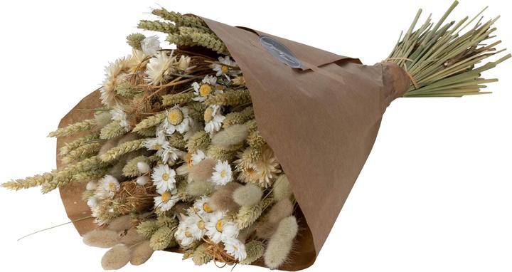 Actual product image Anjel Bianca (Dried flowers)