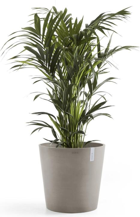 Produktbild Ecopots Amsterdam (50 cm)