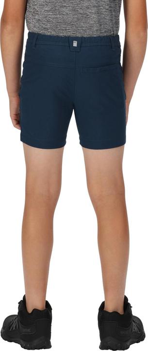 Actual product image Regatta Highton Shorts (140)