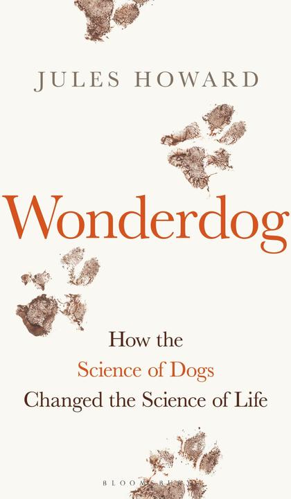 Produktbild Wonderdog (Englisch, Mr Jules Howard, 2022)