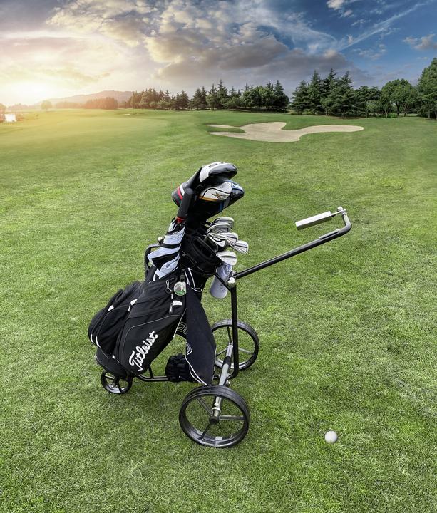 Actual product image Trisa Elektrischer Golfwagen Carbon