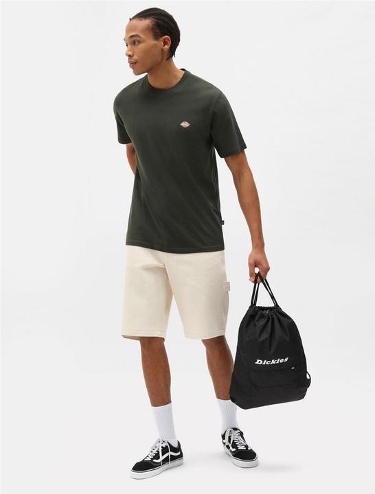 Actual product image Dickies Mapleton T-Shirt (XL)