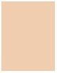 Actual product image MAC Cosmetics Studio Waterweight Foundation (Product No. NC15)