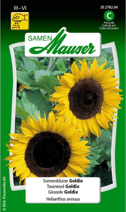 Girasole Goldie (Semi di piante)