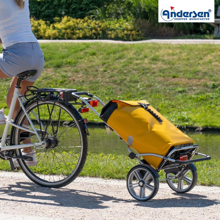 Actual product image Andersen R1-BigEasy