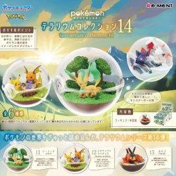 Image du produit Re-Ment Terrarium Collection Vol.14 (1 Random)