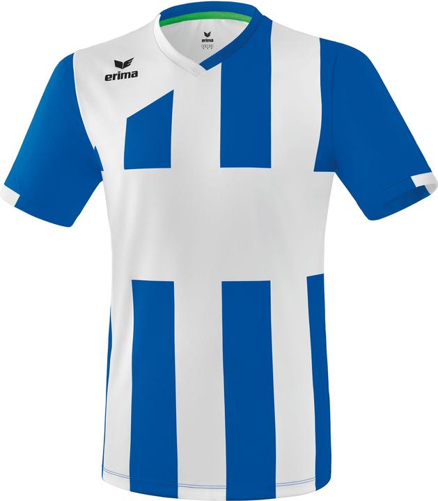 Actual product image Erima Siena 3.0 jersey (128)