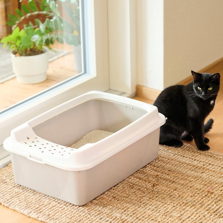 Actual product image Rotho Bonnie M Eco (Cat litter box closed)