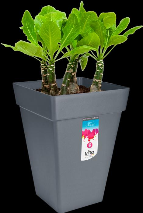 Immagine prodotto Elho Loft urbano (29.30 cm)