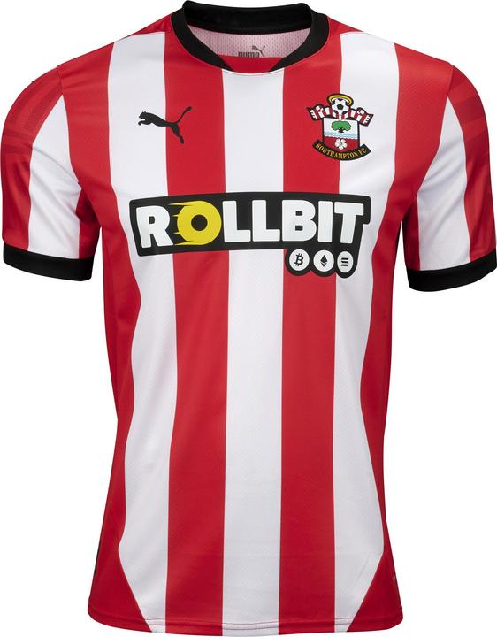Productafbeelding Puma Southampton FC thuisshirt (L)