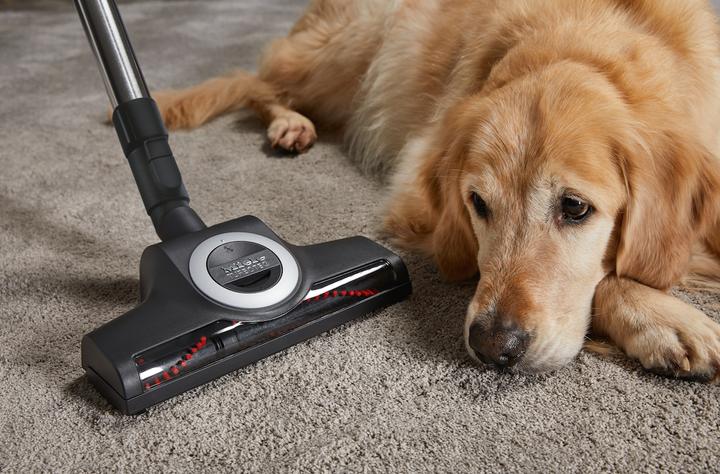 Immagine prodotto Miele Compact C2 Cat & Dog PowerLine