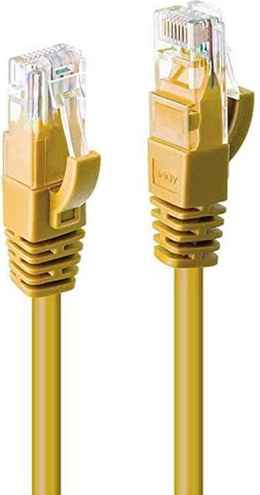 Actual product image Lindy Network cable (U/UTP, CAT6, 0.30 m)