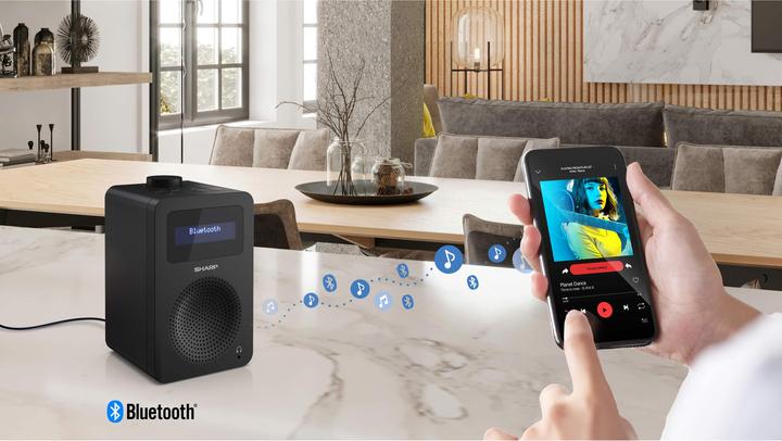 Actual product image Sharp DR-430 (DAB+, VHF, Bluetooth)