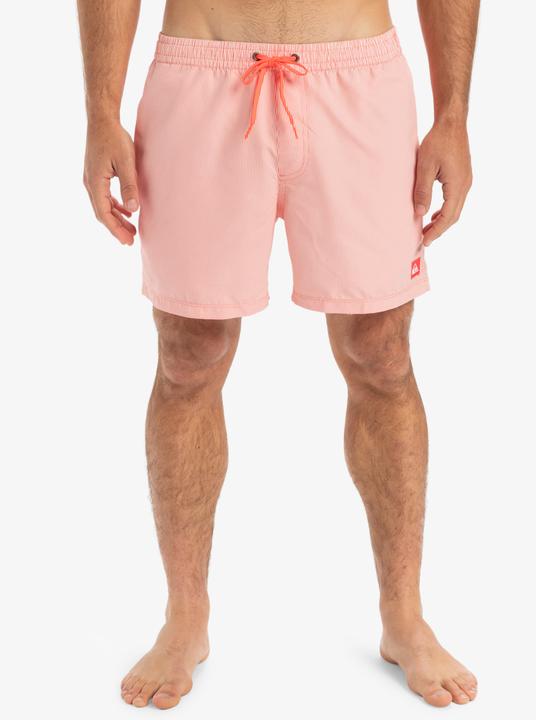 Actual product image Quiksilver Everyday Deluxe Volley 15 (L)