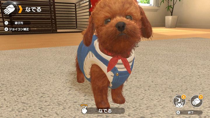 Actual product image Sold Out Little Friends: Dogs & Cats (Switch, DE)