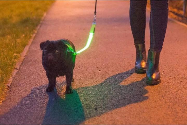 Produktbild Ancol Hundeleine Signalkleidung (1, Hund)