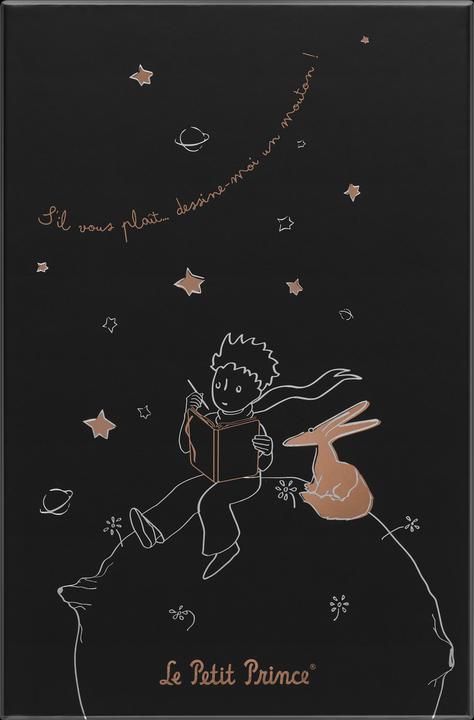 Immagine prodotto Moleskine Il Piccolo Principe (130 x 210 mm, Righe, Copertina rigida)
