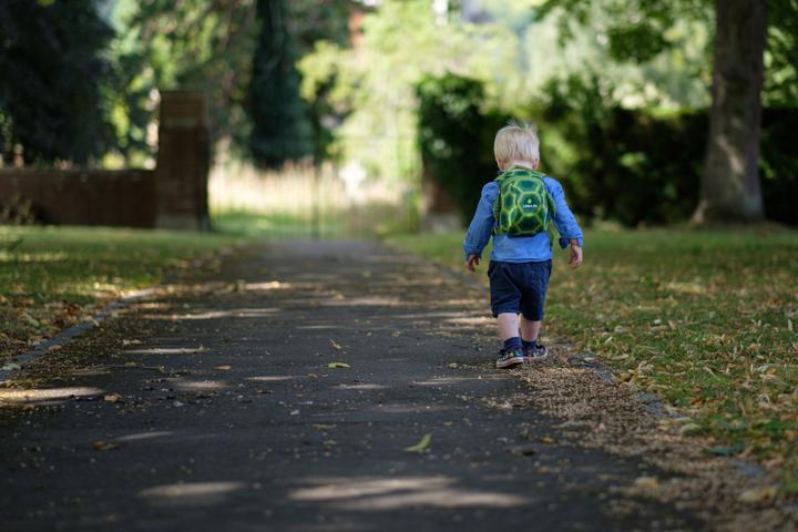 Immagine prodotto Littlelife Tartaruga