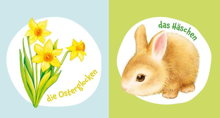 Actual product image Baby Pixi (unbreakable) 147: My favourite spring book (German)
