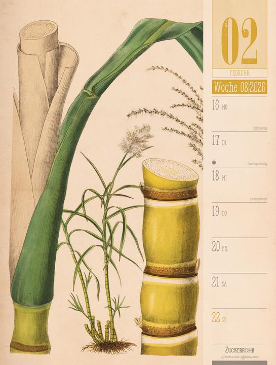 Produktbild Culinarium - Küche, Kräuter, Kurioses - Vintage Wochenplaner Kalender 2026 (25 x 33 cm, Harter Einband, Deutsch)