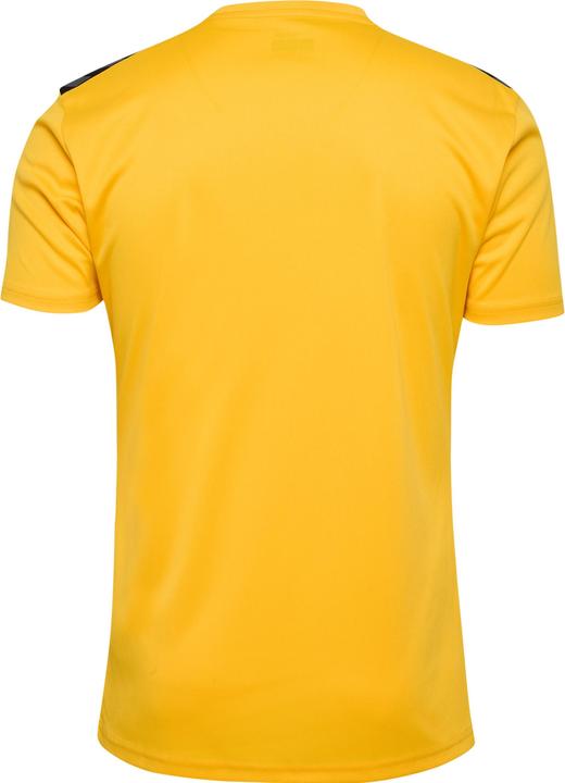 Image du produit hummel hmlAUTHENTIC PL JERSEY S/S (M)