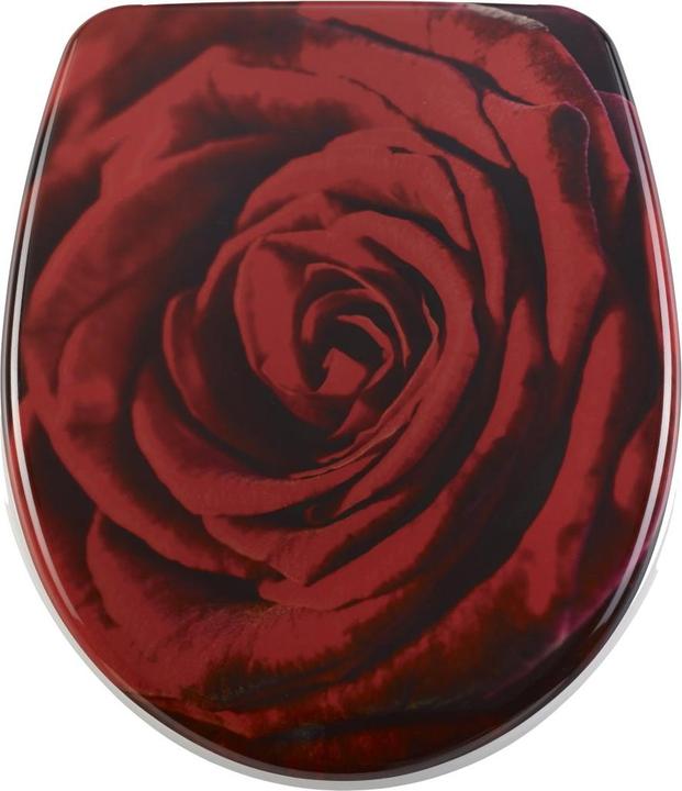 Produktbild Diaqua Rose