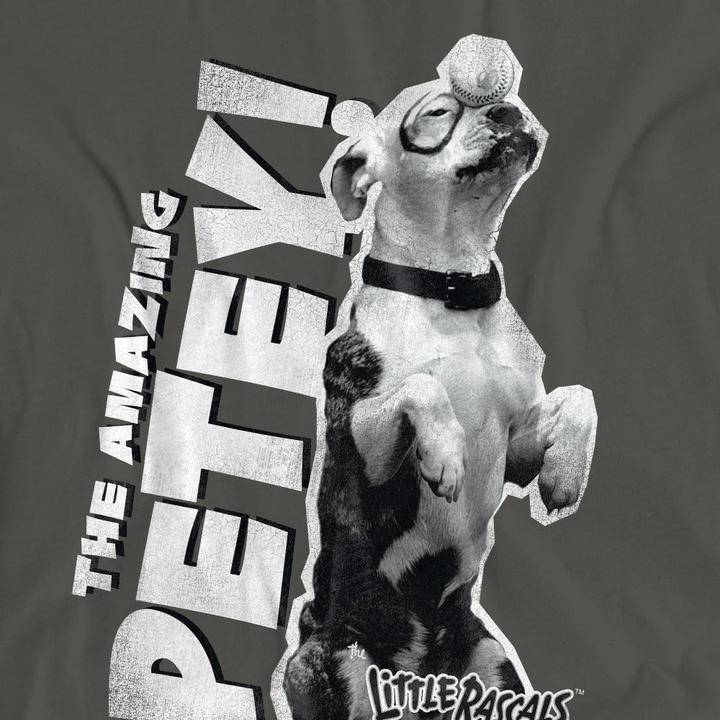 Actual product image The Little Rascals Unisex Adult Amazing Petey T-Shirt (XXL)