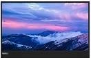 Produktbild Lenovo ThinkVision M15 (1920 x 1080 Pixel, 15.60")