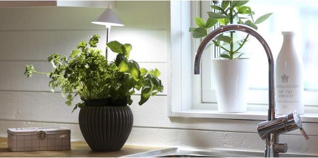 Actual product image Colibri SUNLiTE white (LED, 230 V)
