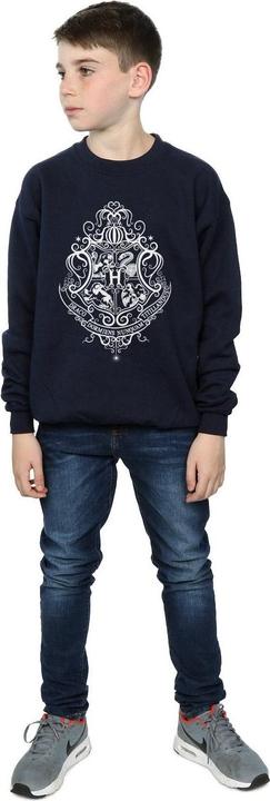 Actual product image Boys Hogwarts Draco Dormiens Crest Sweatshirt (140, 146)
