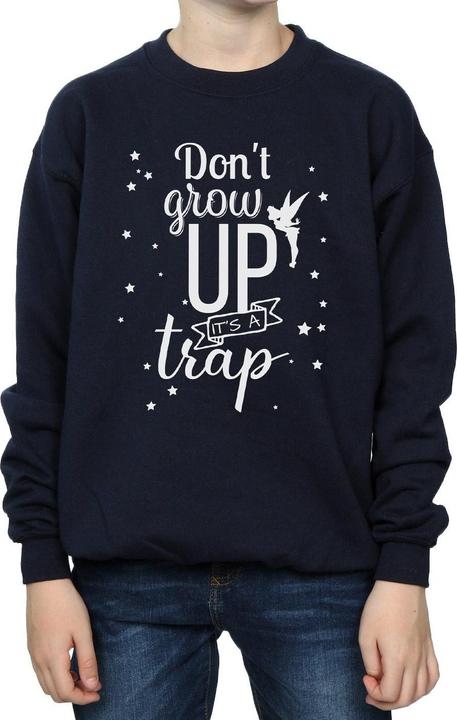 Actual product image Disney Boys Tinker Bell Don't Grow Up Sweatshirt (152, 158)