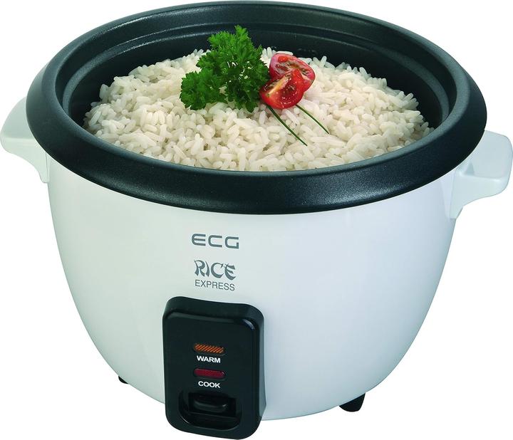 Actual product image ECG RZ 060