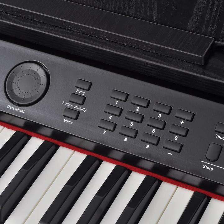 Actual product image VidaXL Falco (88 Keys)