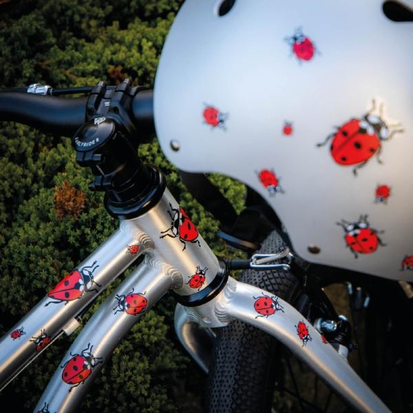 Actual product image Farbviereck Ladybird Motifs Sticker / Sticker
