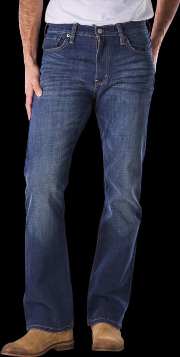 Image du produit Levis 527 Jeans Slim Bootcut wave allusion (W34/L34)