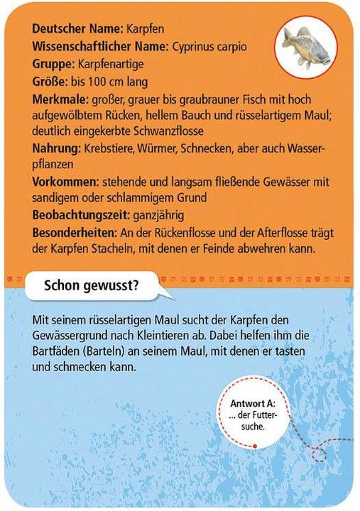 Actual product image Expedition Nature 50 native animals & plants at stream & pond (German)