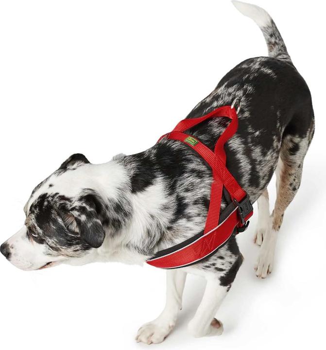 Immagine prodotto Hunter Harnas Norwegian Racing Nylon Rood / Zwart (Cane, Generale)