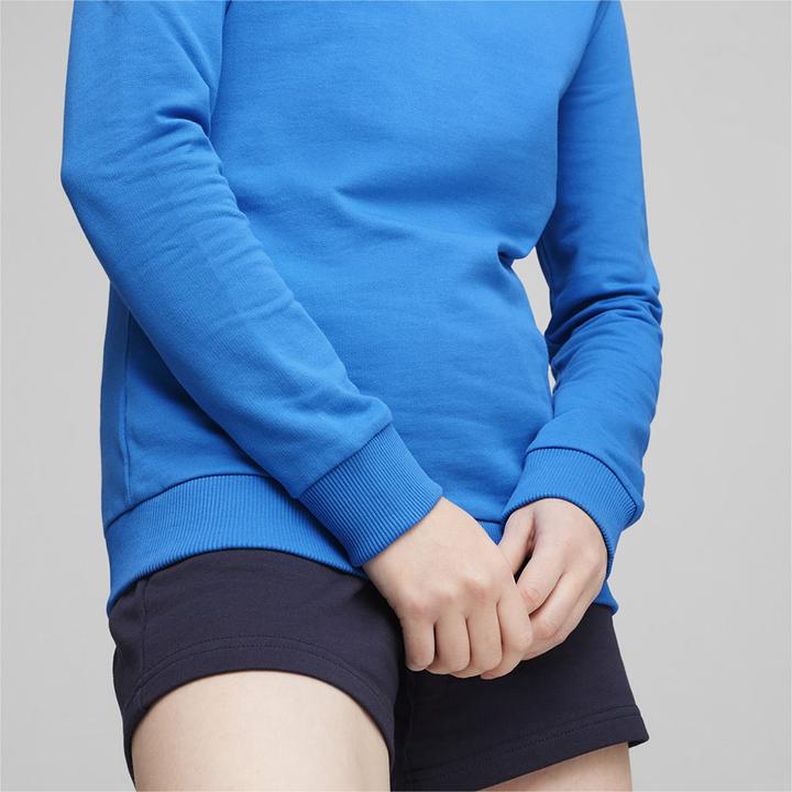 Actual product image Puma teamGOAL Casuals Crew Neck Sweat Wmn (S)
