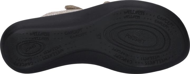Image du produit Westland 16766-664 (39)