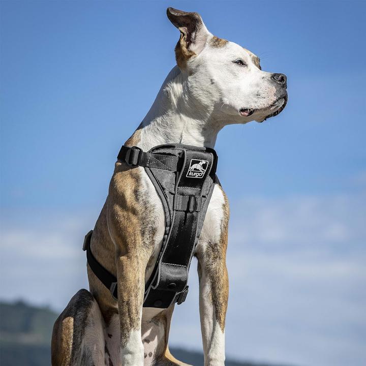 Immagine prodotto Kurgo Tru-Fit Smart Harness (S, Cane, Passeggiare, Sport cane, Jogging, Generale)