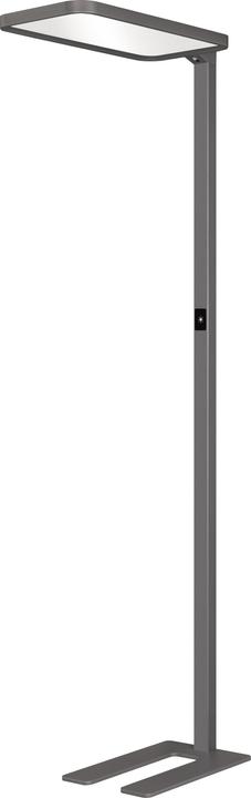 Image du produit Hansa Lampadaire Saphir LED Anthracite (7500 lm)