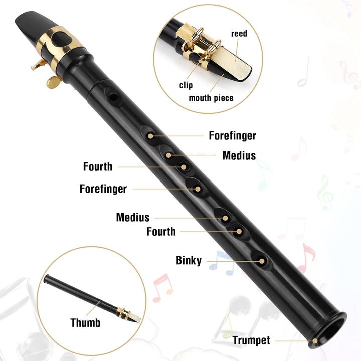 Image du produit Binyi Mini-Saxophon (Saxophone)