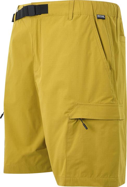 Image du produit Regatta - Short MALLEN - Homme (3XL)