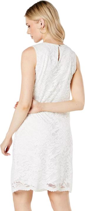 Actual product image Principles Womens/Ladies Lace Sleeveless Dress (38 D)