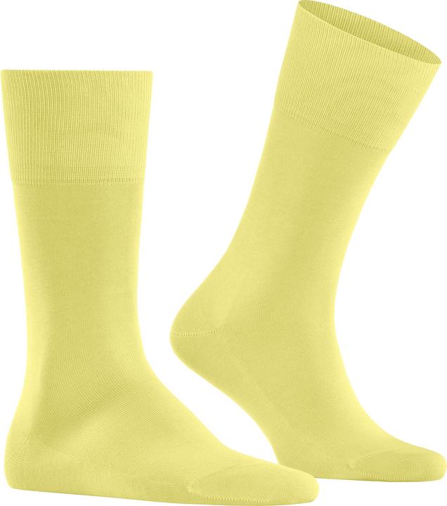 Actual product image Falke Tiago Men (41 - 42)