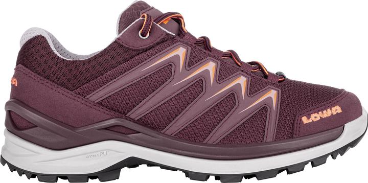 Immagine prodotto Lowa Innox Pro GTX LO (41.5)